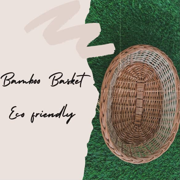 Coconut Oil Collection